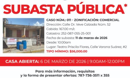 En San Lorenzo: Primera subasta a viva voz de estorbos públicos en la isla