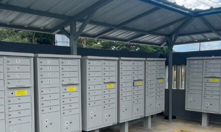 HUMACAO:  Municipio decidido a acabar con interminable problema por buzones