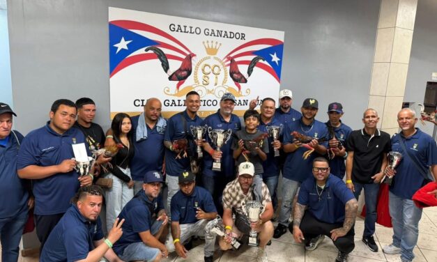 Las Piedras celebra a sus campeones nacionales del torneo Interpueblo de Gallos