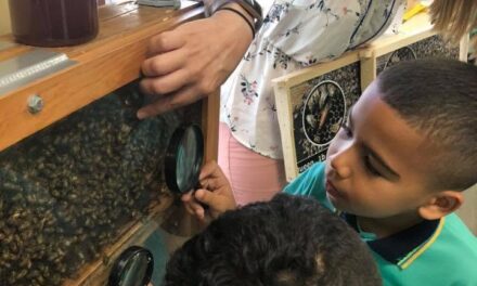 YABUCOA:  Cuando las abejas enseñan en el aula