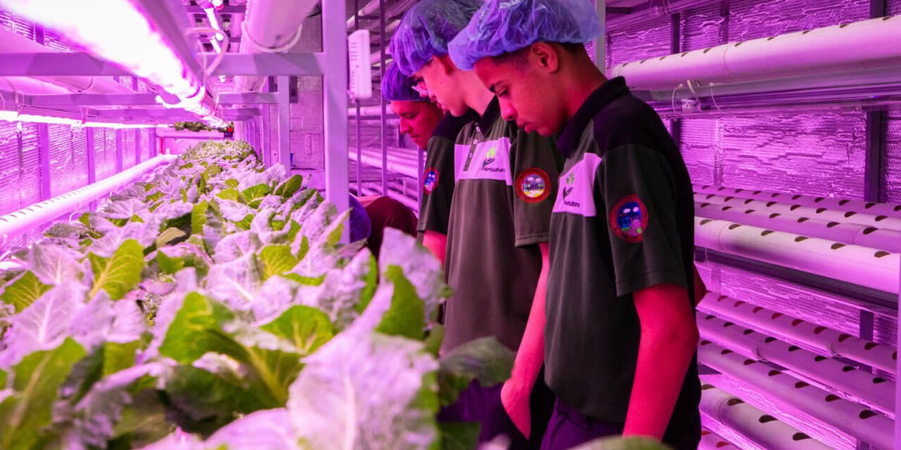 San Lorenzo:  Inauguran moderna unidad modular de cultivo