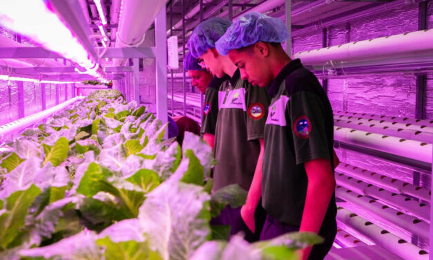 San Lorenzo:  Inauguran moderna unidad modular de cultivo